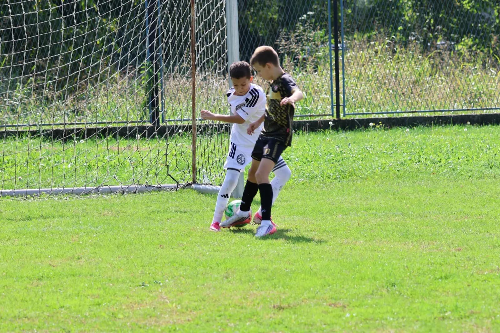 Dabar Cup, fotografija 9 od 12